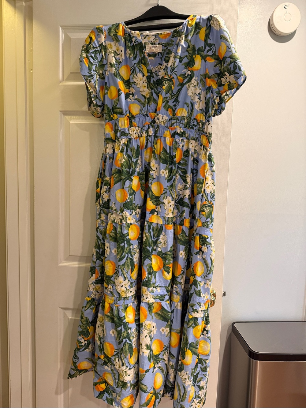 Anthropologie Blue Lemon Print Tiered Casual Dress
